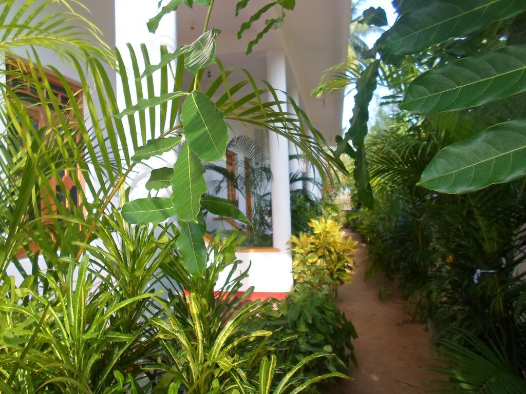 Surf & Sand Hotel Arugambay Arugam Bay Exteriör bild